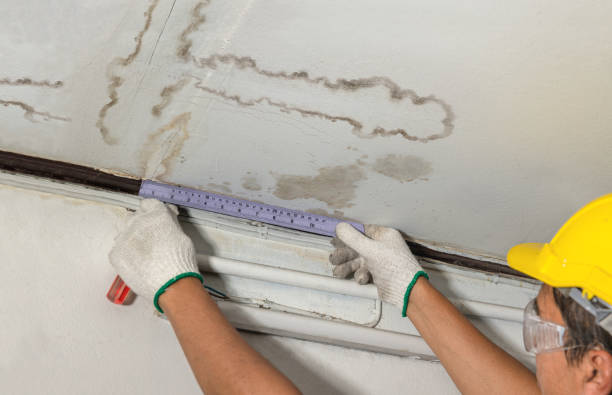 Affordable Water Damage Repair solutions in Brookside, NJ